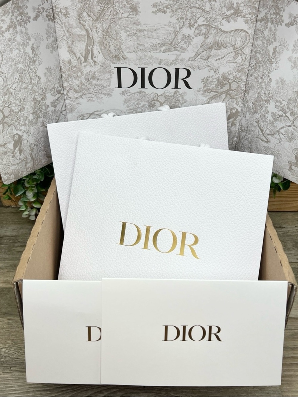 DIOR Authentic Gift Bag and Envelope Bundle